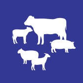 crystalyx icon uebersicht